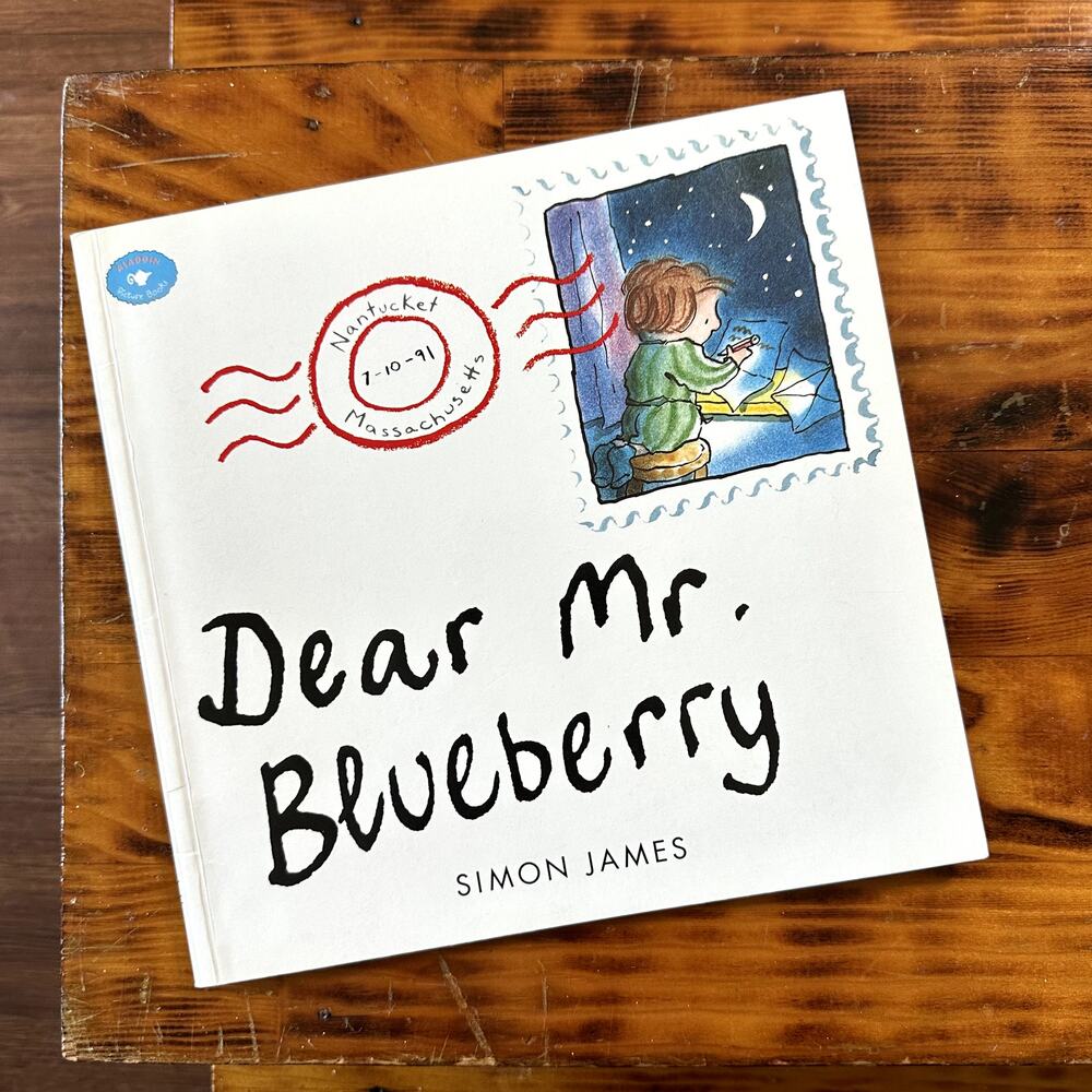 Vintage 1991 Dear Mr. Blueberry Nantucket Massachusetts Paperback Book